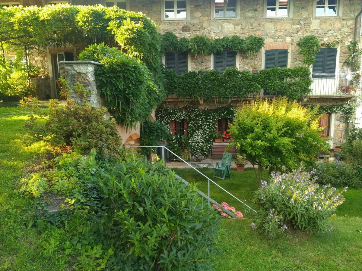 Bed and Breakfast Il Glicine Zimone Exteriér fotografie